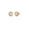 Guess JUBE03349JWYGT/U Hearts Earrings made of Steel Gold Plated with Stones