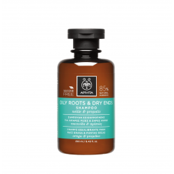 APIVITA Holistic Hair Care Shampoo for Oily Hair & Dry Ends with Nettle & Propolis 250ml