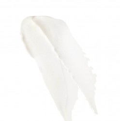 CAUDALIE Lip Balm Stick 4.5 gr