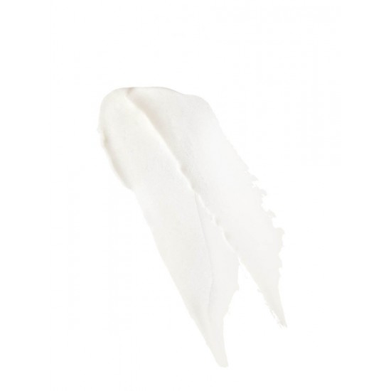 CAUDALIE Lip Balm Stick 4.5 gr