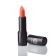 GARDEN Intense Color Lipstick Gloss 04 Beach Babe 4.5g GARDEN Intense Color Lipstick Gloss 04 Beach Babe 4.5g