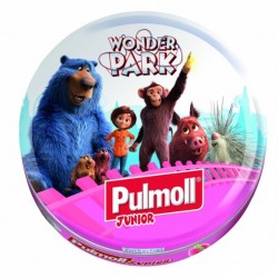 PULMOLL Junior sugar-free pastilles with echinacea and vitamin C to strengthen the immune system 50g