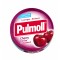 PULMOLL sugar-free pastilles with cherry and cinnamon flavor with sweeteners 45g