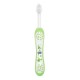 CHICCO Toothbrush Green 6m+