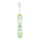 CHICCO Toothbrush Green 6 months+
