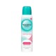 NOXZEMA Spray Memories 48h 150ml