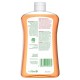 DETTOL Anti-bacterial Liquid Hand Wash Refill Grapefruite Skin 750ml