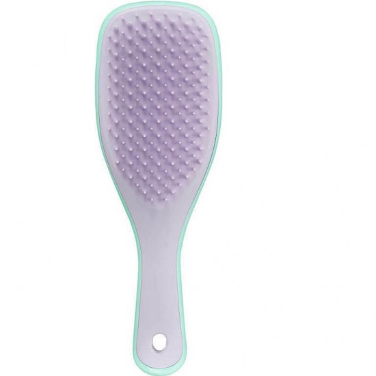 Tangle Teezer Brush Hair for Detangling Mini Mint/Lilac 1 pcs.