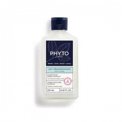 Phyto Scalp Solutions Shampoos for Sensitive Scalp 250ml Phyto Scalp Solutions Shampoos for Sensitive Scalp 250ml