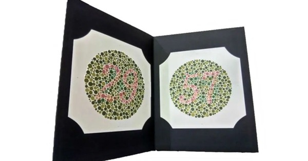 Ishihara Color Vision Test – 24 Plates, Color Blindness Test Book