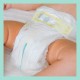 Pampers Premium Care No 3 (6-10 kg) 60 τεμάχια Pampers Premium Care No 3 (6-10 kg) 60 τεμάχια