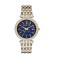 Michael Kors Darci MK3401 watch with gold metal bracelet